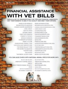 financialassistance with vet bills