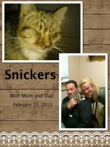 snickers 2013