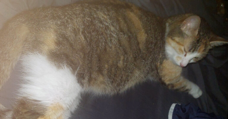 Mochie’s Complications From Giving Birth