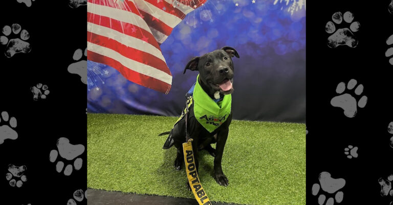 Courage: From Neglect to Hope