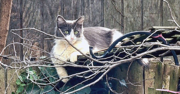 From the Cold Streets to A Warm Blanket: Sabrina’s Fresh Start