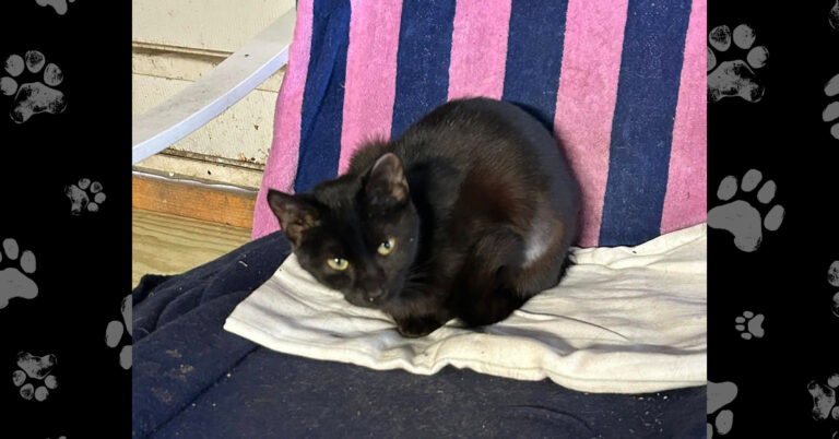 Mindy, From the Streets to Hope