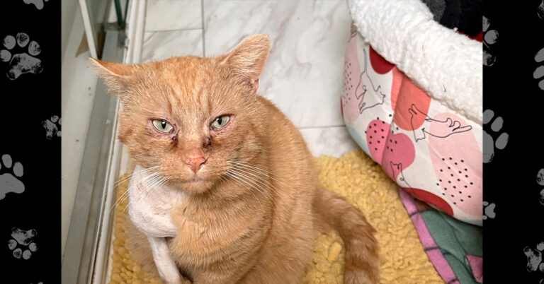 Morris Needs Our Help