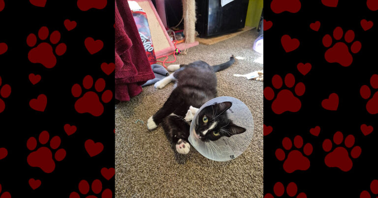Joy Is Recovering Well After Emergency Surgery