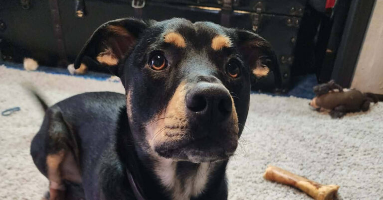 Obi’s Second Fight: Choosing the Path That Saves His Life