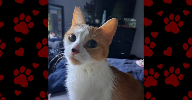 From Starving to Safe: Valyria’s Second Chance